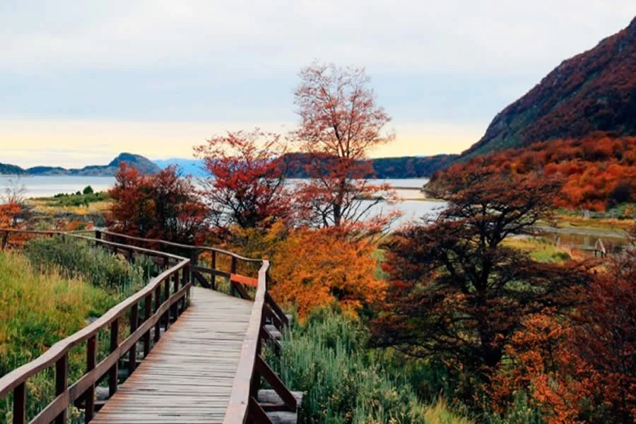 Parque Nacional Tierra del fuego